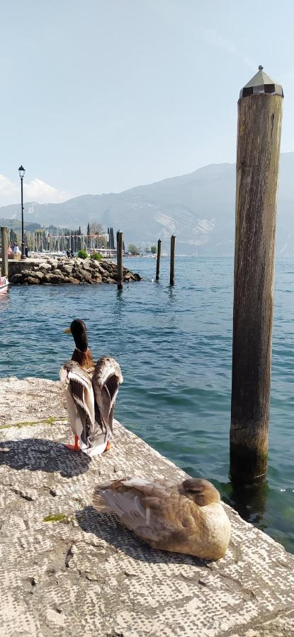 Riva Del Garda Nest Apartment Bagian luar foto